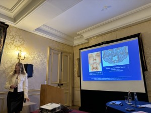 IMG_4582