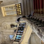 IMG_8046